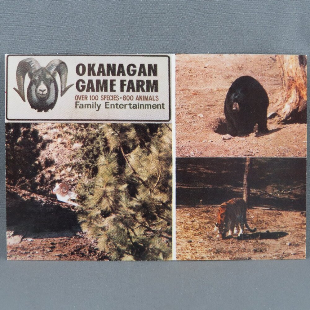 Vintage Postcard - Okanagan Game Farm - Dexter Press